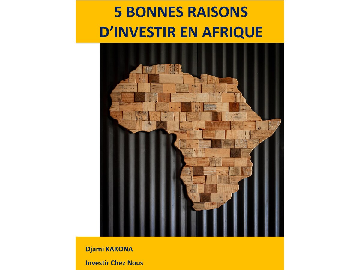 5bonnesraisonsdinvestirenafrique