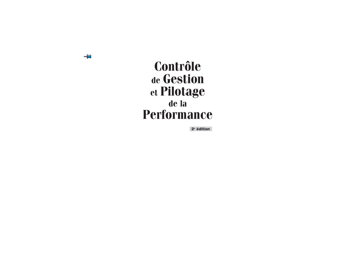 Contrôle de Gestion et Pilotage de la Performance