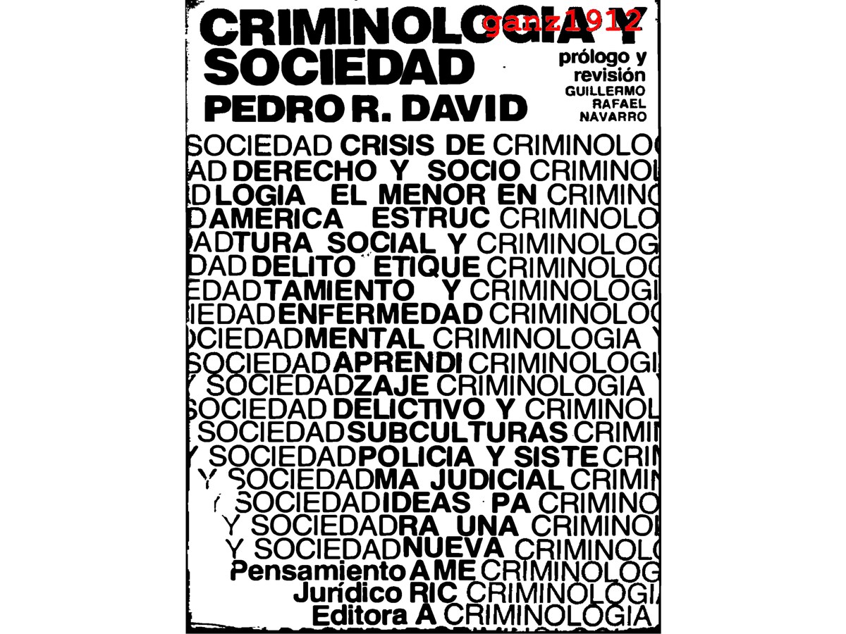 DAVID-PEDRO-R-Criminologia-y-Sociedad-OCR
