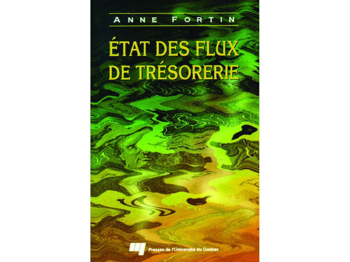 État des Flux de Trésorerie