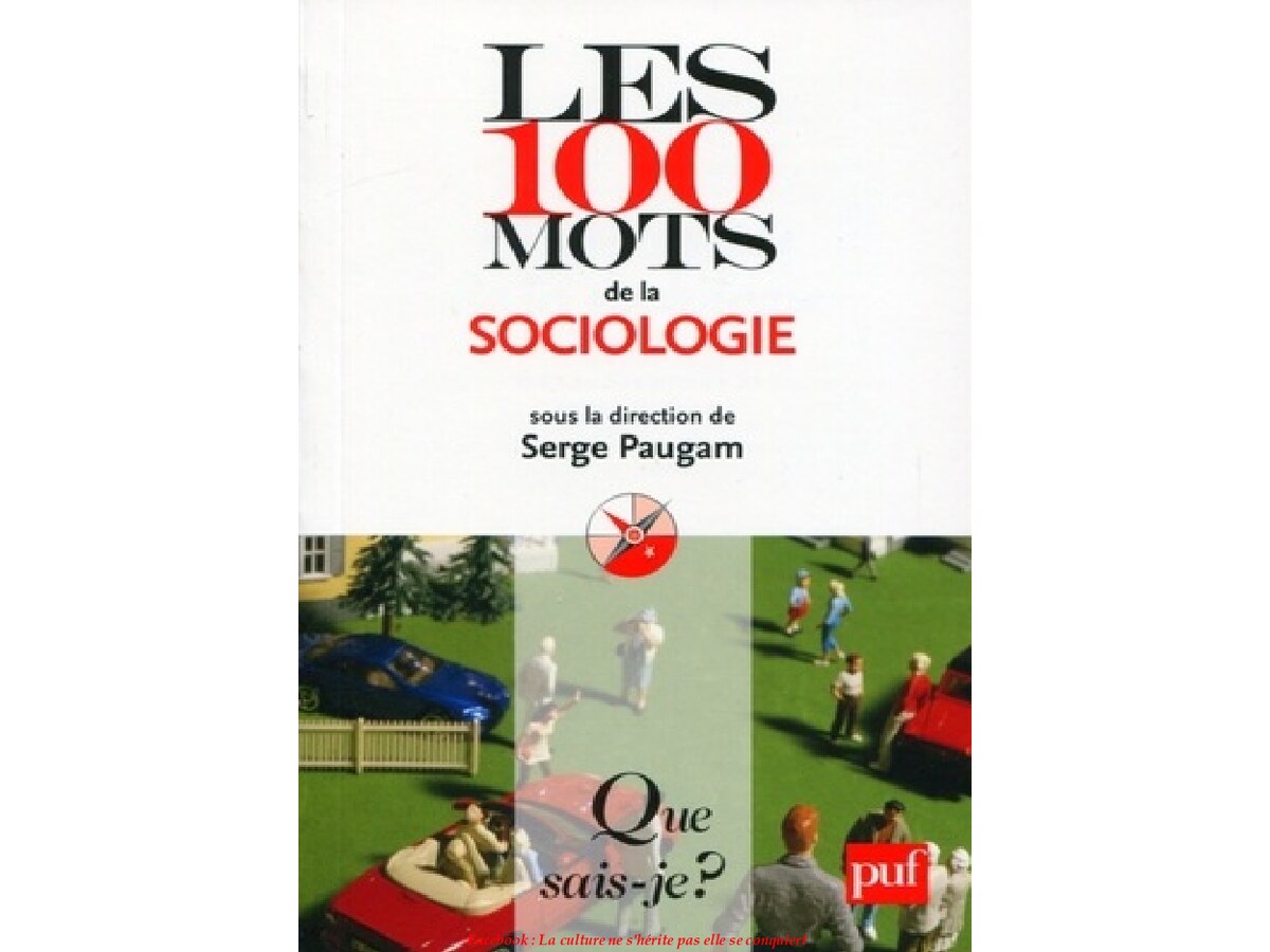 Les-100-Mots-de-La-Sociologie-