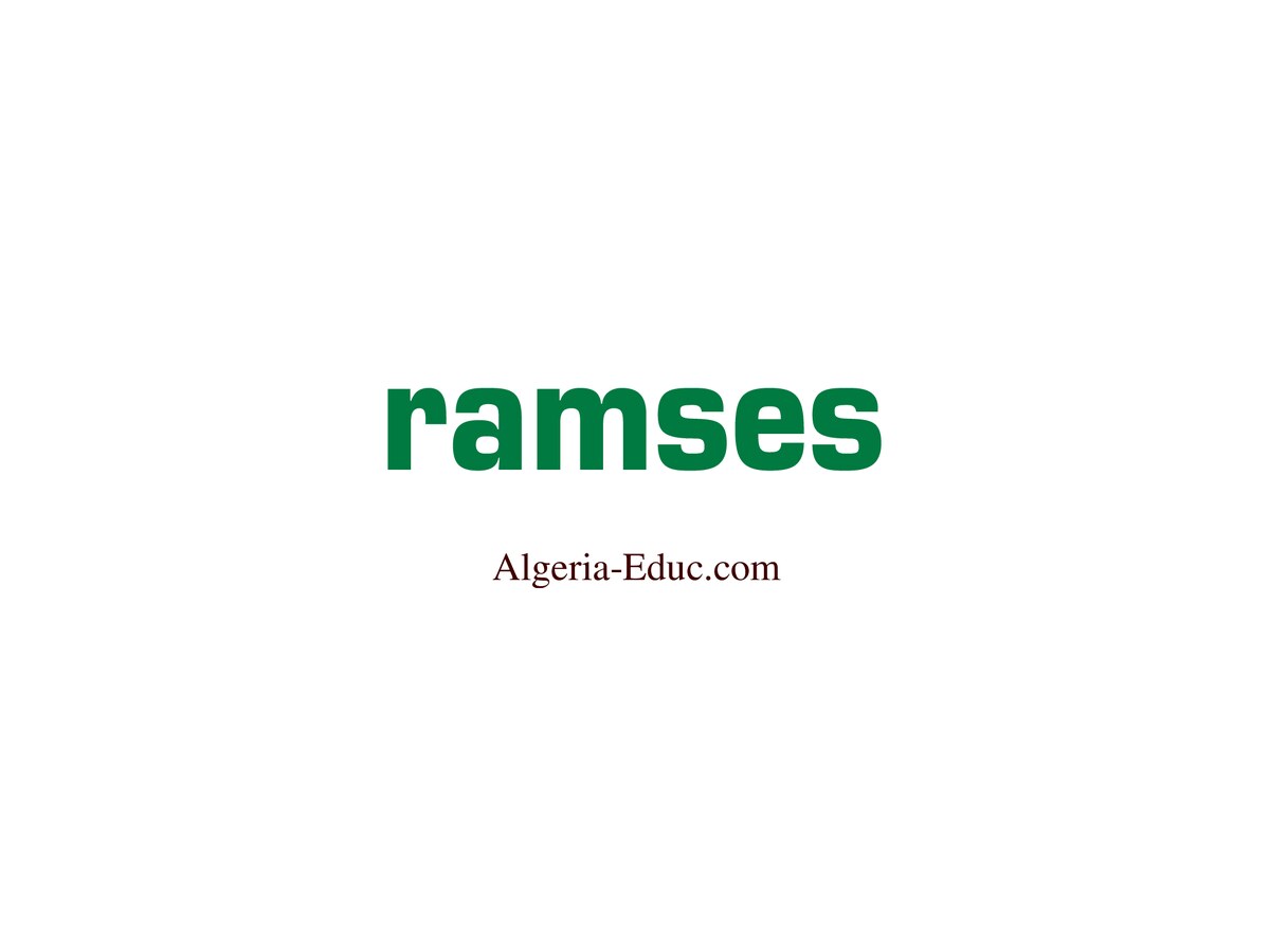 RAMSES 2010 (Rapport Annuel Mondial sur le Système Economique et les Stratégies)